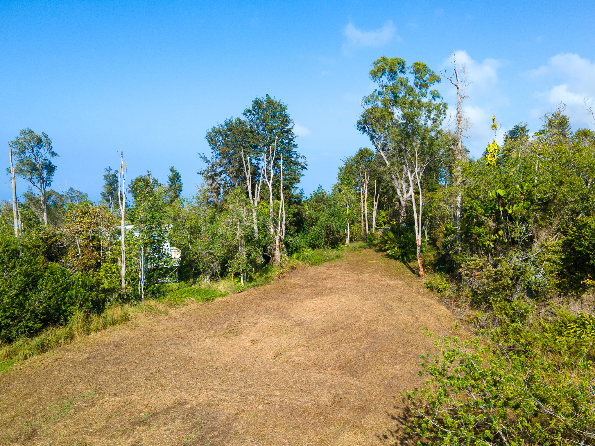 89-806 Lot 28 Huanui Road Captain Cook, HI 96704 - Photo 8 of 16 a view of a yard with plants and trees