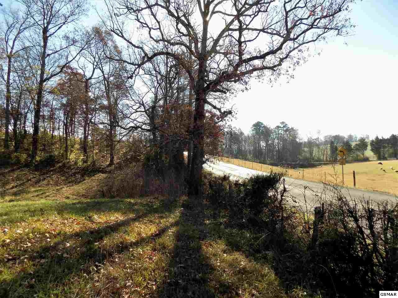 14 Coile Road Jefferson City, TN 37760 - Photo 23 of 32 Gallery Image 23