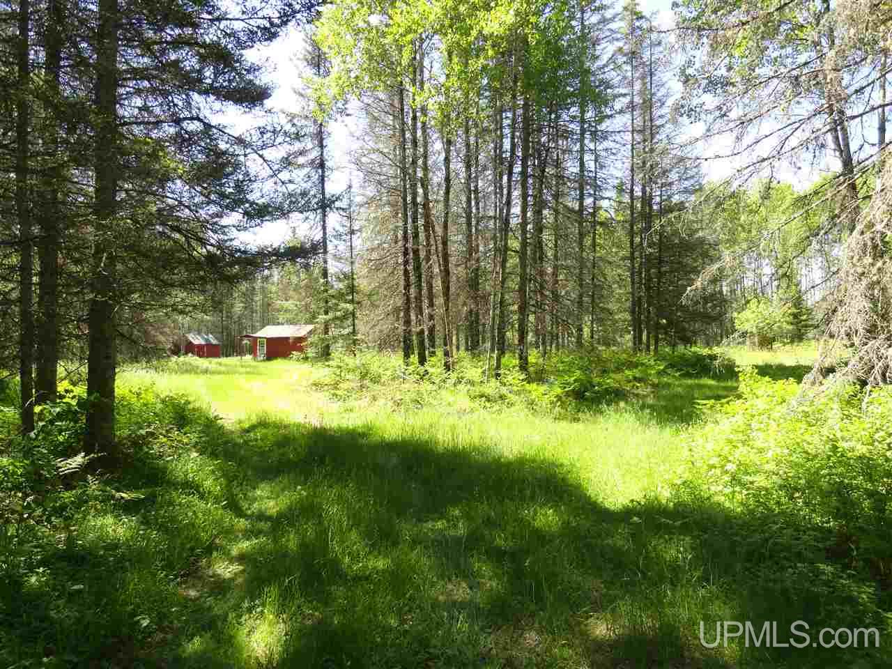 11 Co Road Felch, MI 49831 - Photo 11 of 36