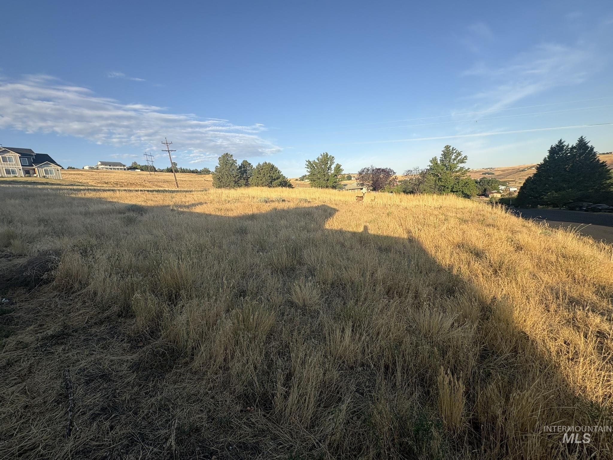 View of yard featuring a rural view