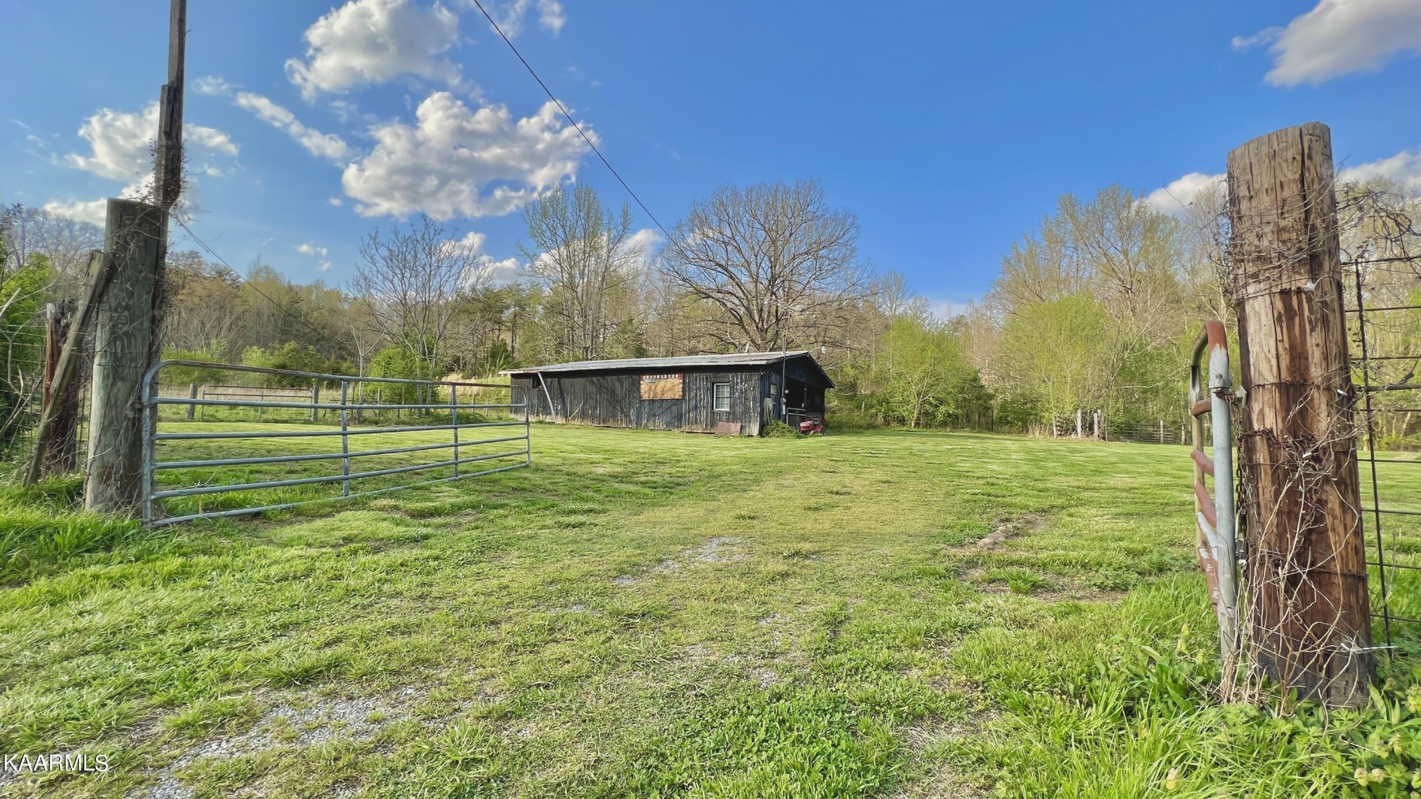 1560 Dripping Springs Road Seymour, TN 37865 - Photo 7 of 46
