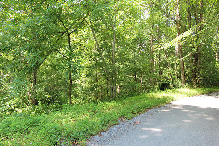 90.01 Phillips Road Cosby, TN 37722 - Photo 7 of 8 IMG_5947