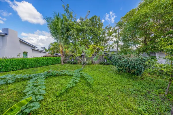 a view of a yard with a tree