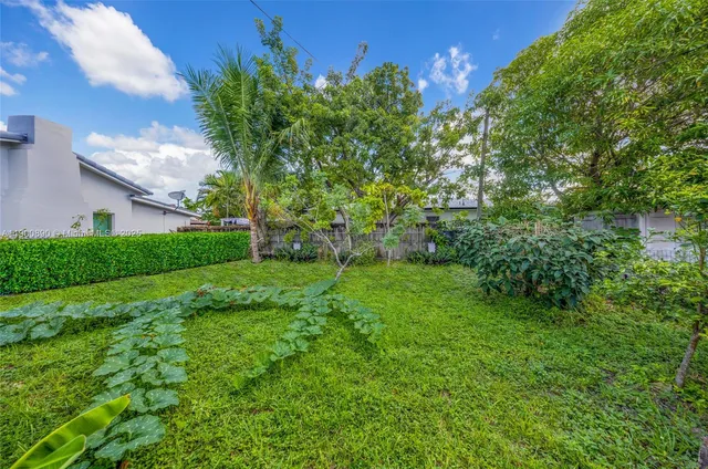 a view of a yard with a tree