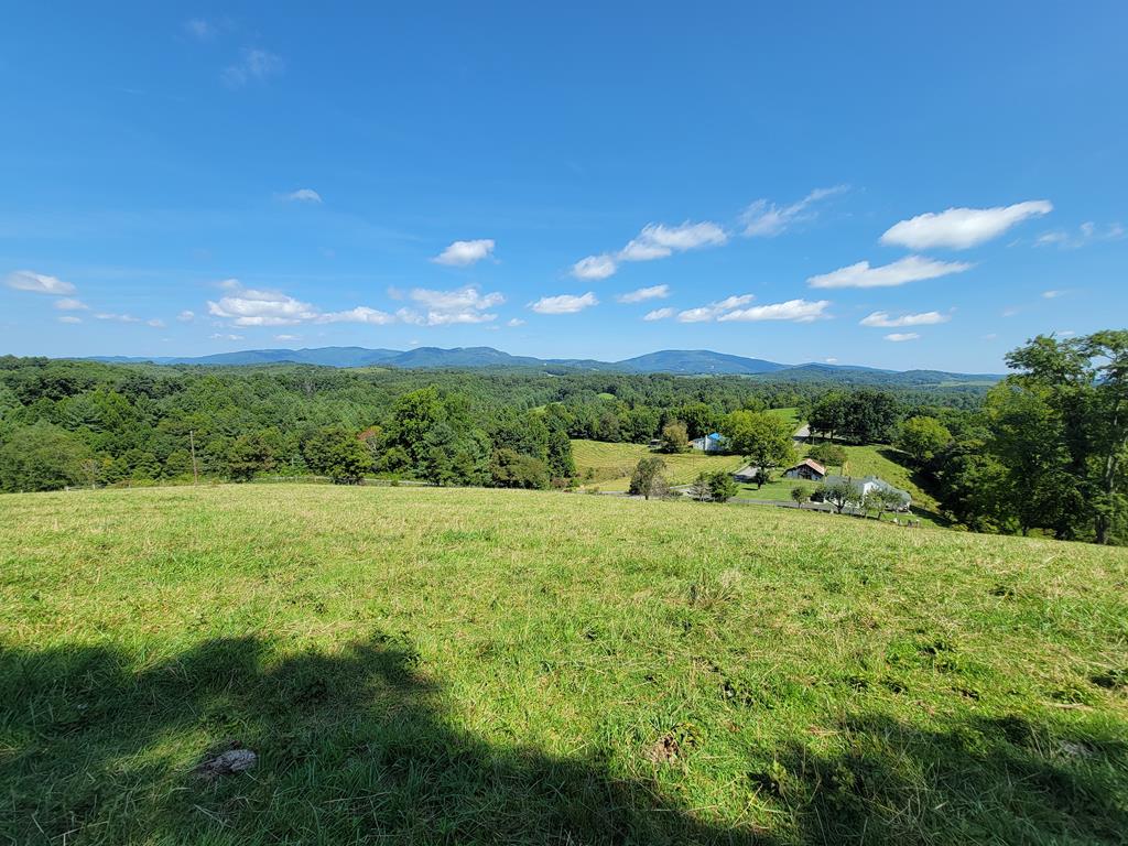 879 Shady Hill Road Independence, VA 24348 - Photo 52 of 60 Gallery Image 52