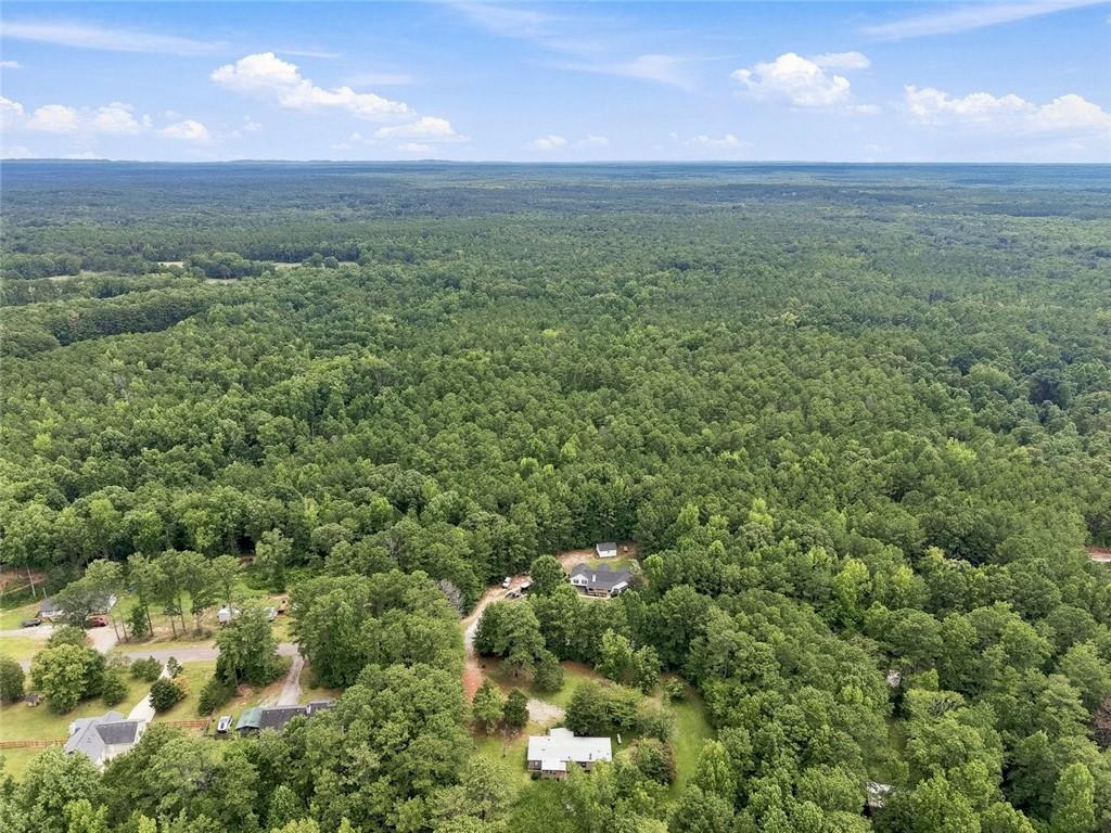 155 Skyview Road Senoia, GA 30276 - Photo 15 of 16 Gallery Image 15