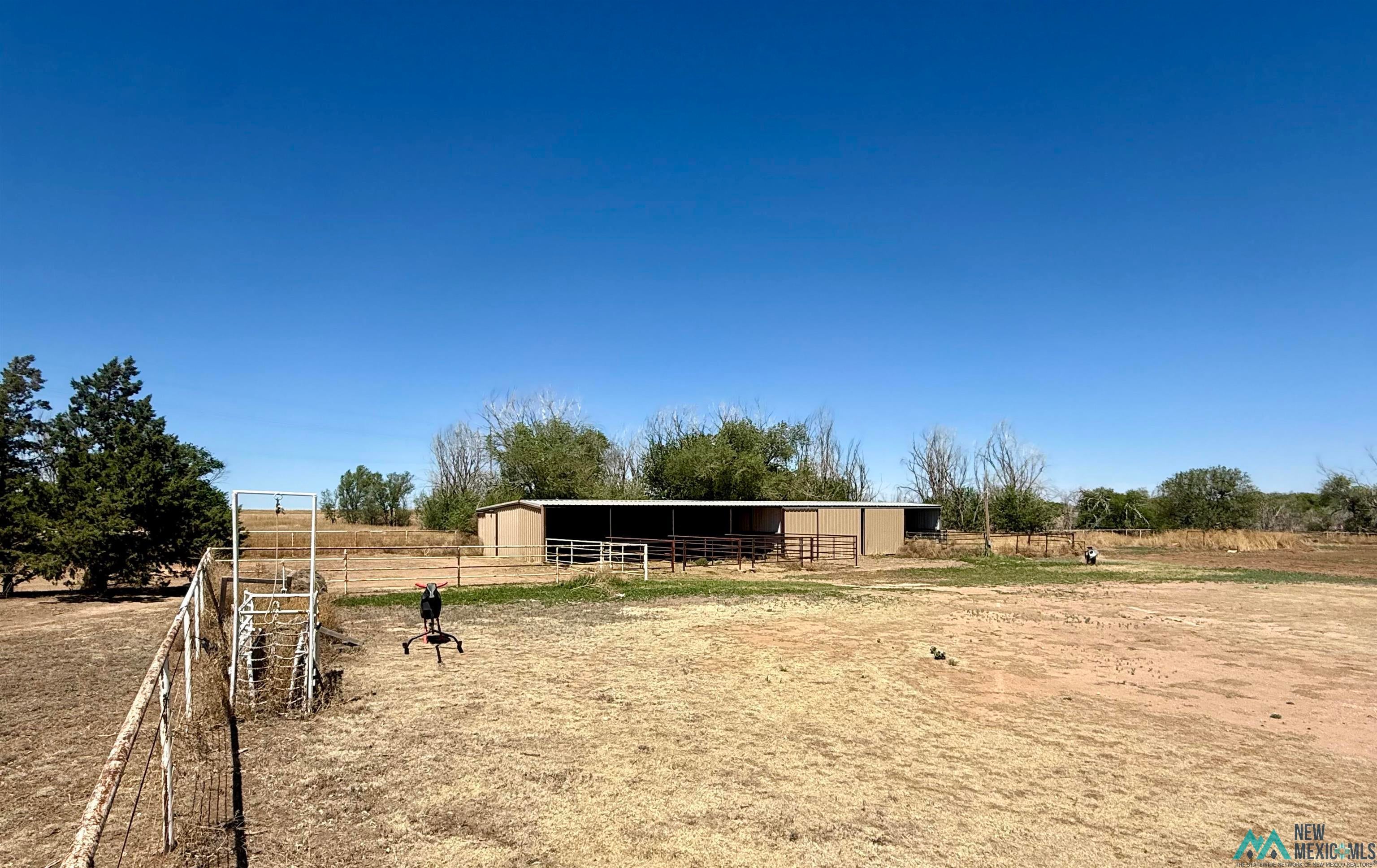 997 State Rte 108 Texico, NM 88135 - Photo 4 of 33 Expansive outdoor space featuring a covered barn structure with multiple enclosures, perimeter fencing, and mature trees