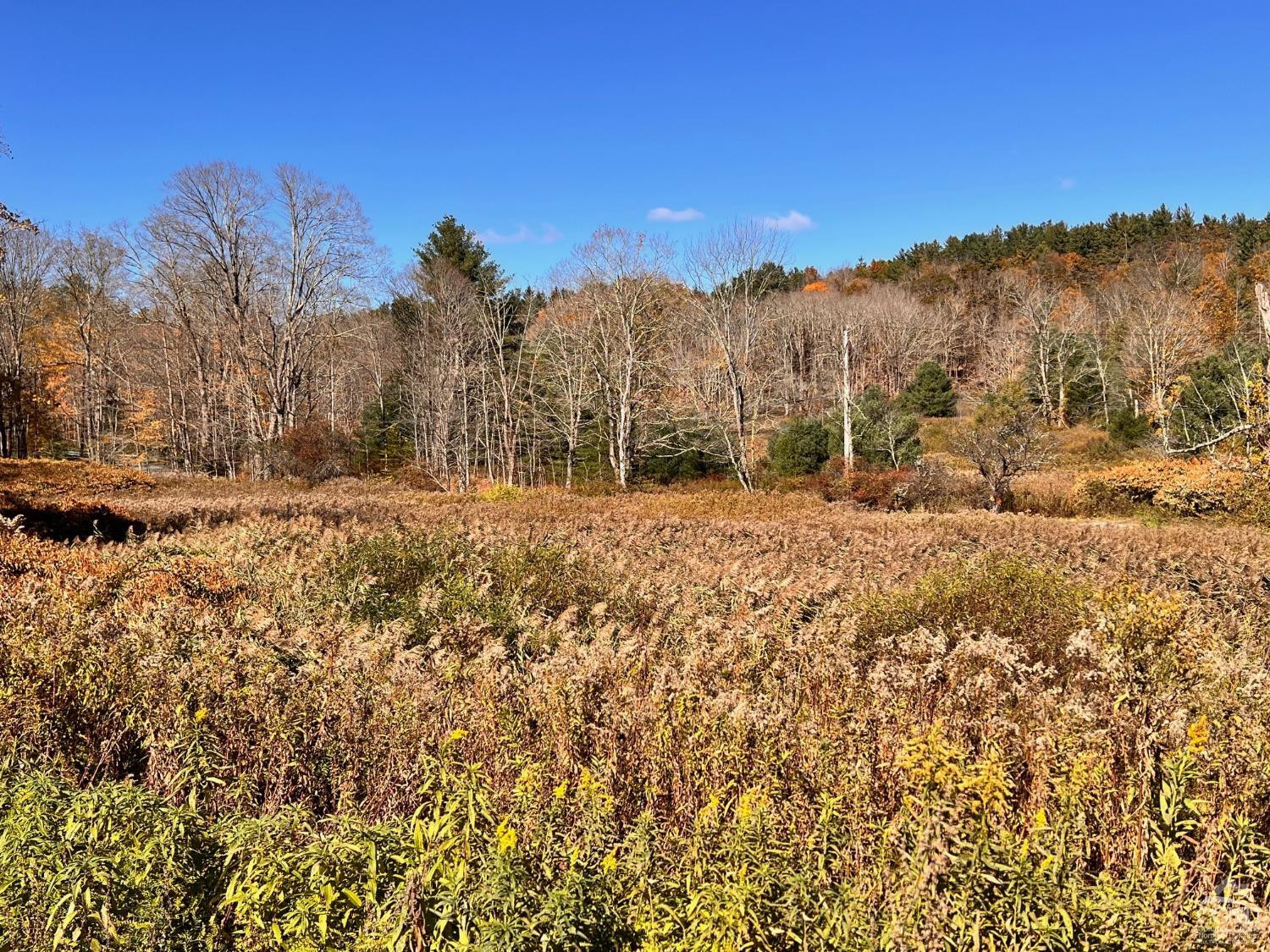 61 Dugway Road Hillsdale, NY 12529 - Photo 4 of 13 a view of a yard with a mountain