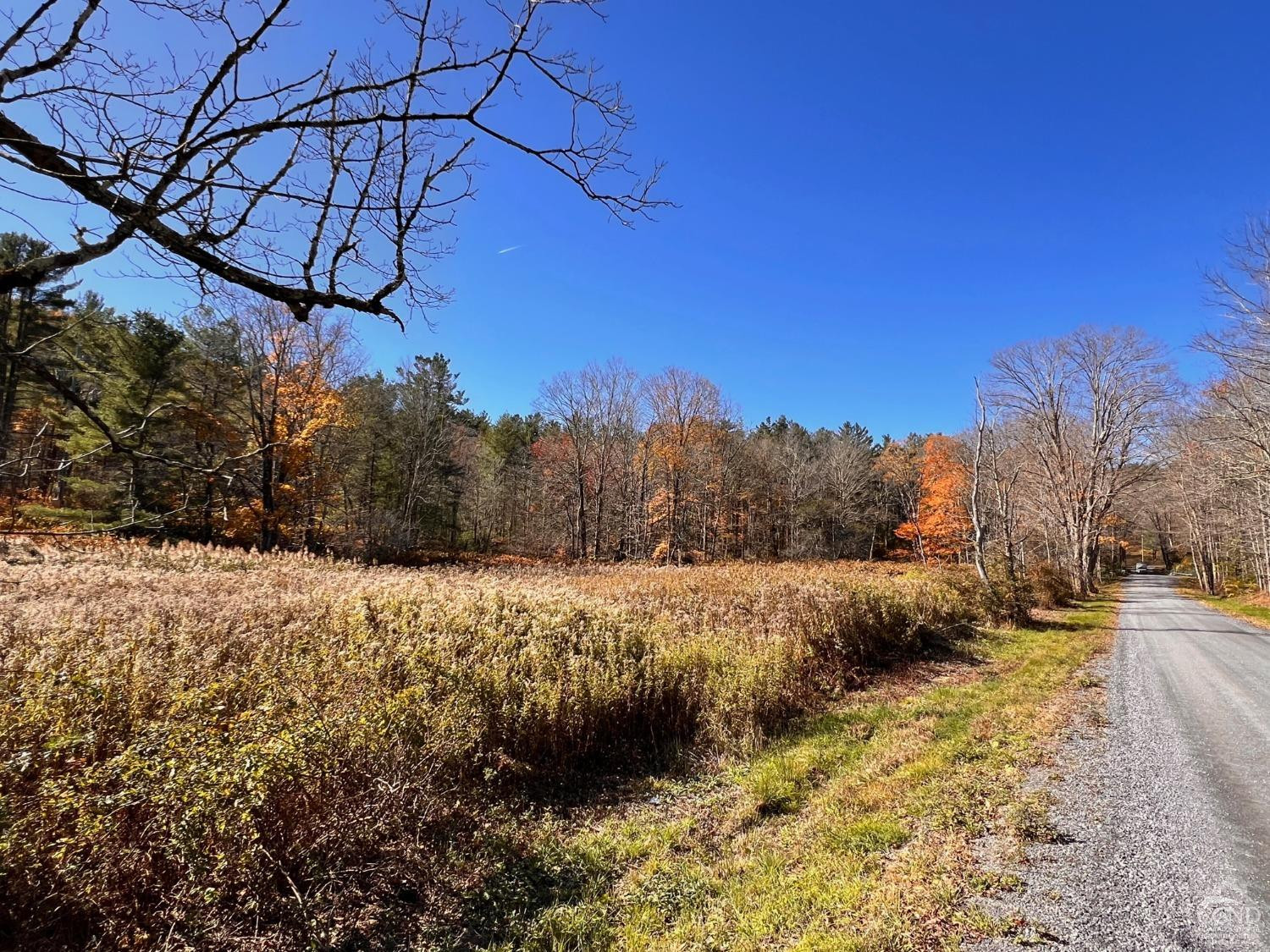 61 Dugway Road Hillsdale, NY 12529 - Photo 8 of 13 a view of a yard
