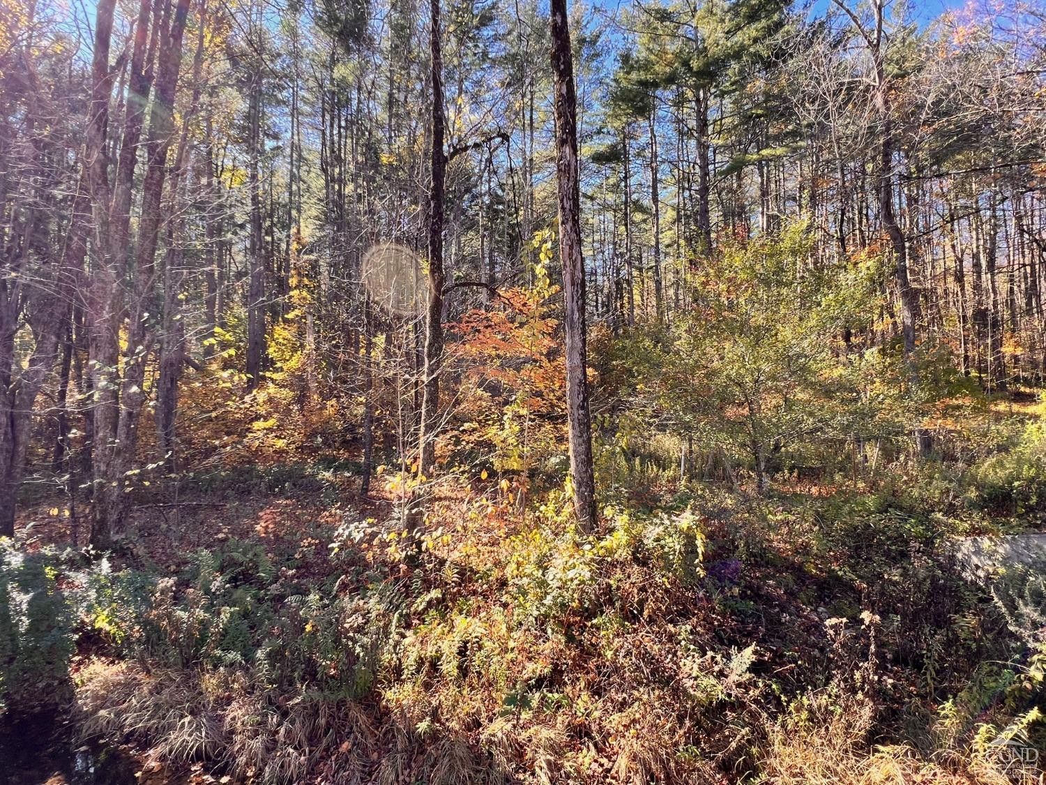 61 Dugway Road Hillsdale, NY 12529 - Photo 9 of 13 a view of a yard with a tree