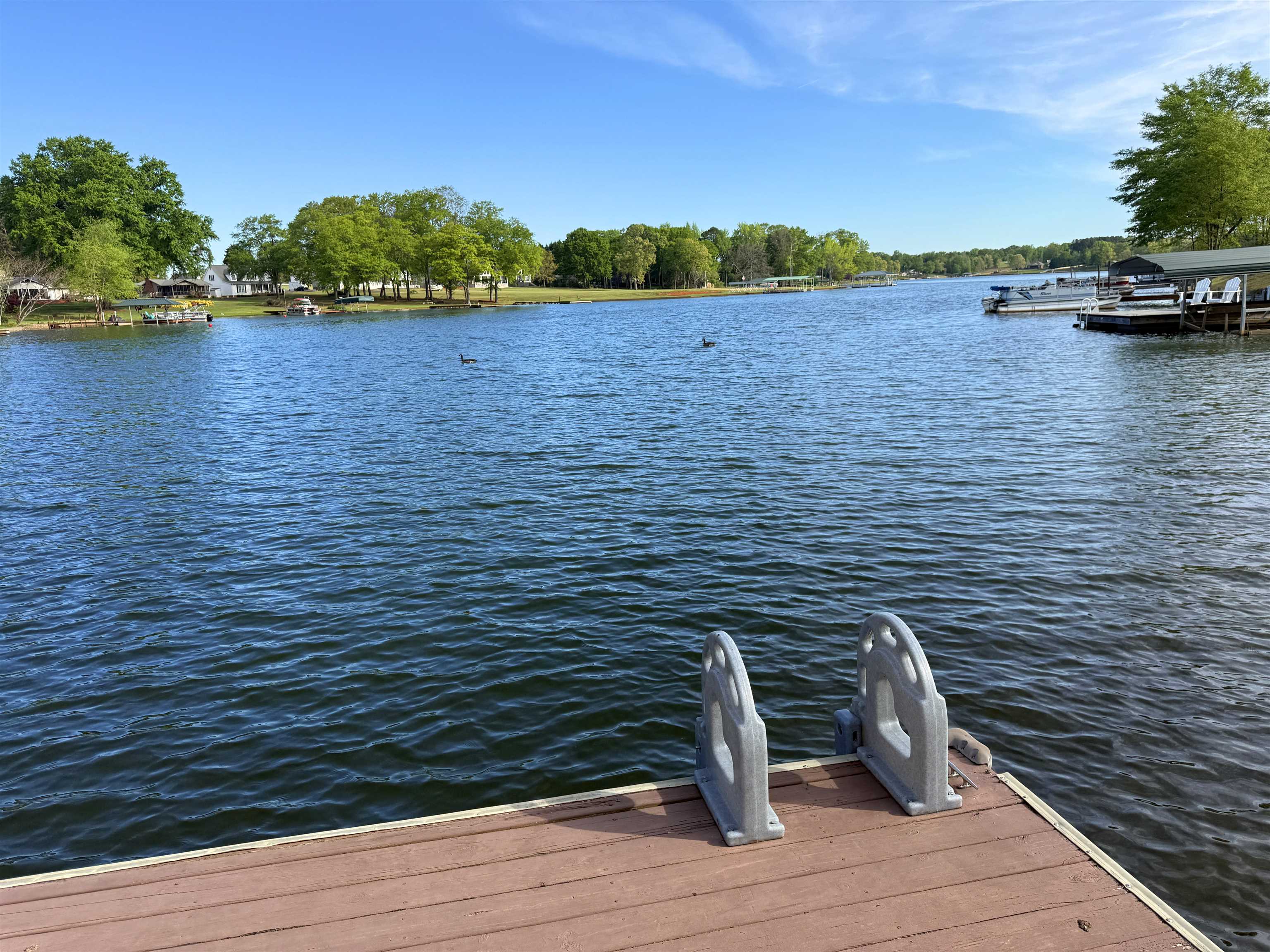 353 Fagan Drive Inman, SC 29349 - Photo 33 of 50