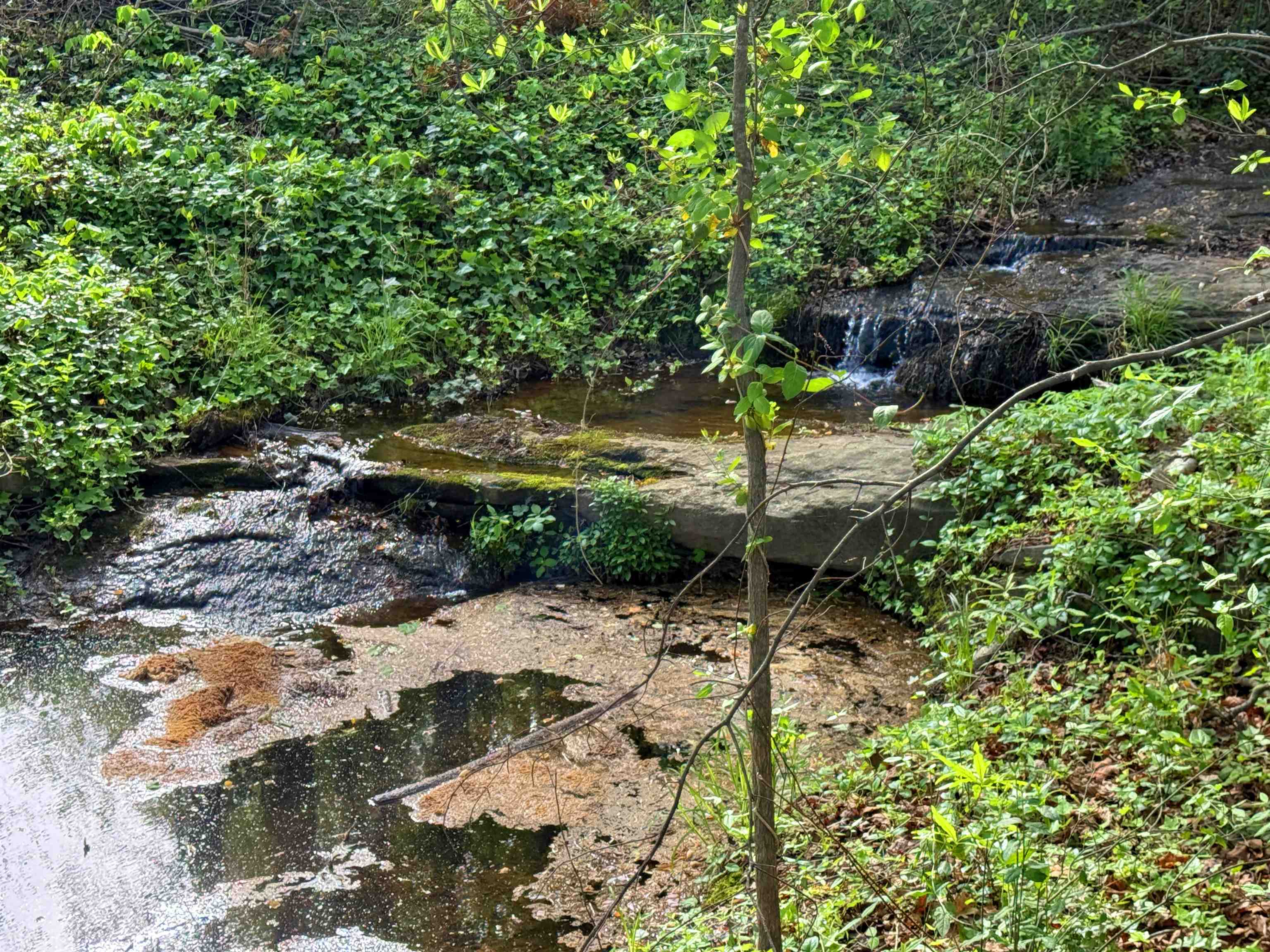 353 Fagan Drive Inman, SC 29349 - Photo 46 of 50