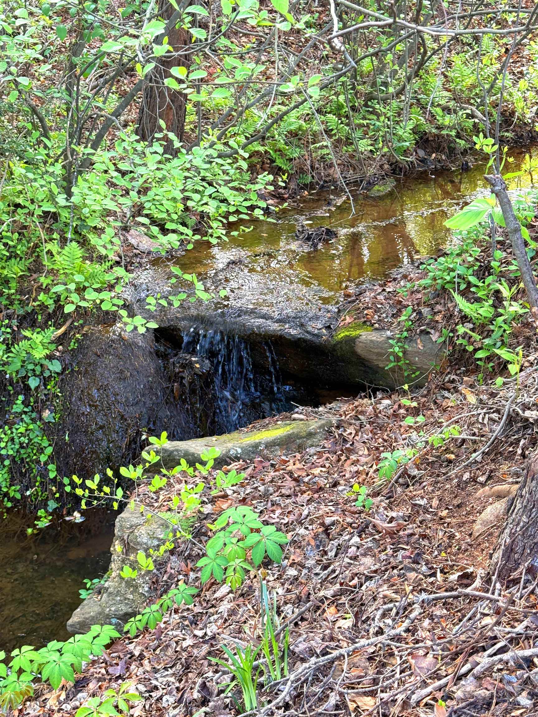 353 Fagan Drive Inman, SC 29349 - Photo 47 of 50