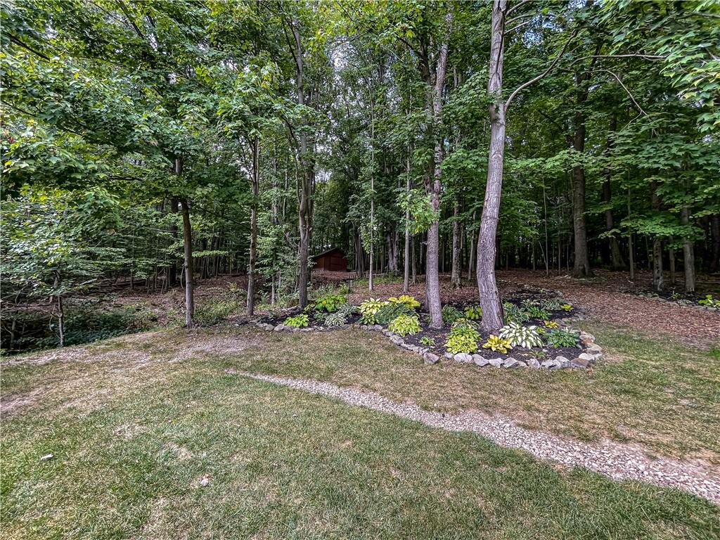 777 East Lake Road Transfer, PA 16154 - Photo 38 of 46 Back yard and pathway to shed