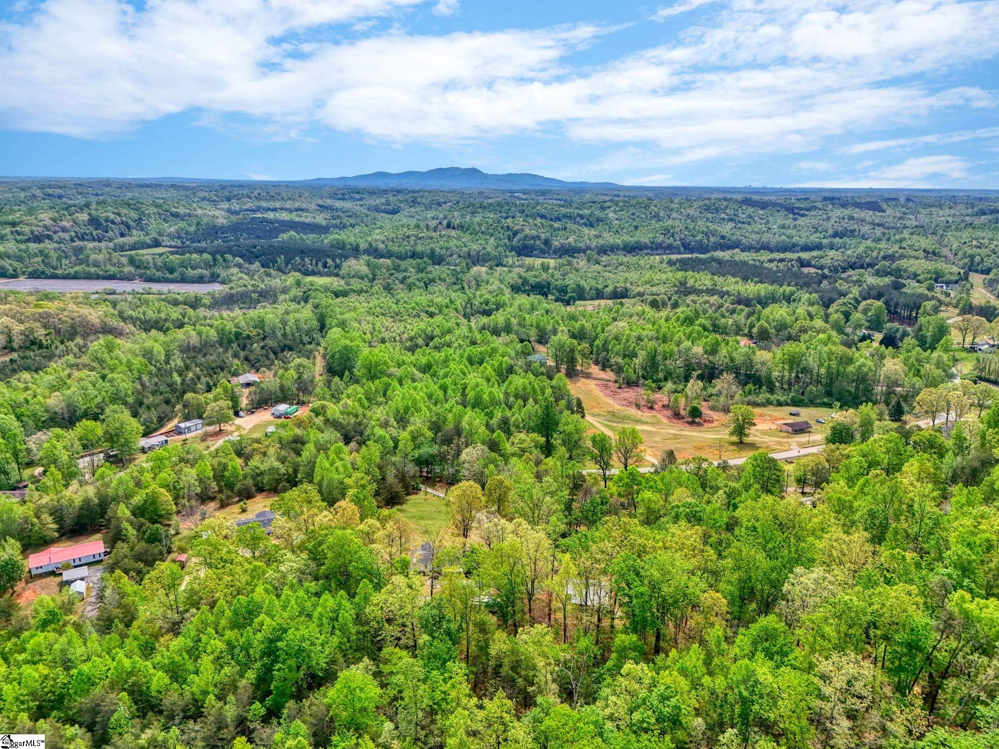 524 Dacusville Road Marietta, SC 29661 - Photo 48 of 50