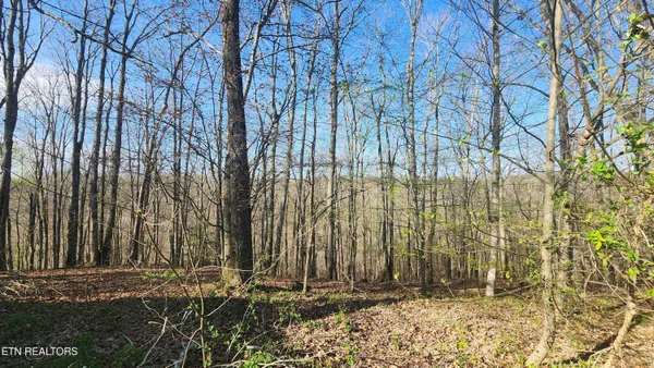 $329,900 | 214 Don't Care Lane, Celina, TN 38551