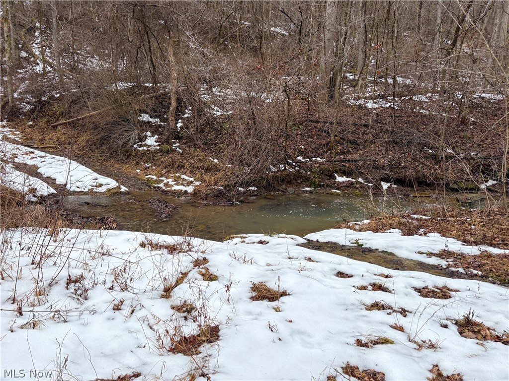 0 Tract 4 Twp Road Woodsfield, OH 43793 - Photo 22 of 34
