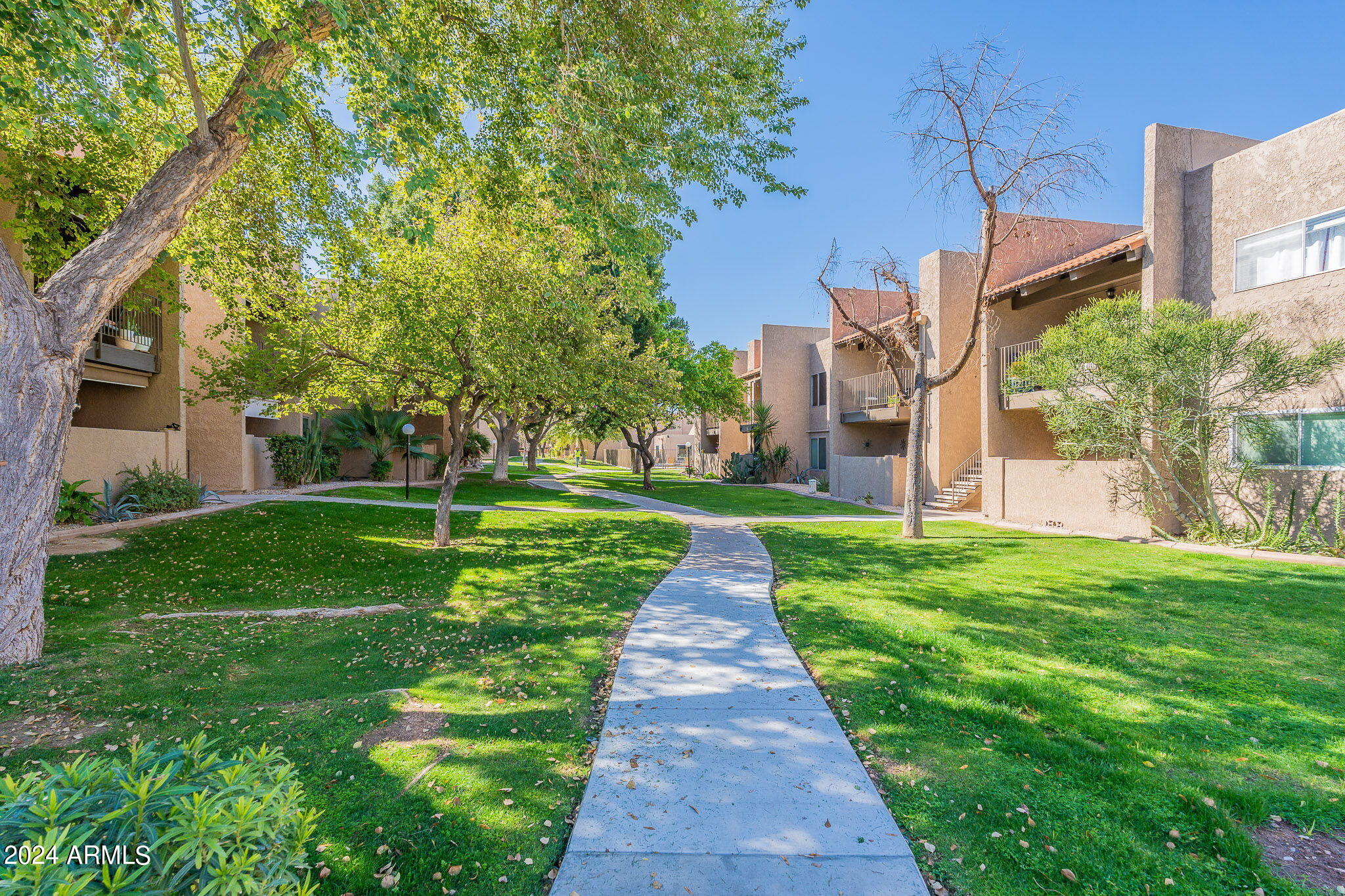 5525 East Thomas Road, Unit A3 Phoenix, AZ 85018 - Photo 33 of 33 Walking paths