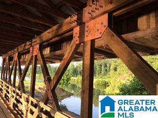 Saunders Bridge Road Sterrett, AL 35147 - Photo 9 of 15