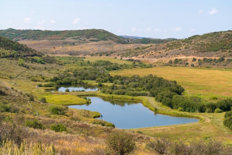 25060 Rainbow Ridge Oak Creek, CO 80467 - Photo 15 of 30 a view of a lake with mountains in the background