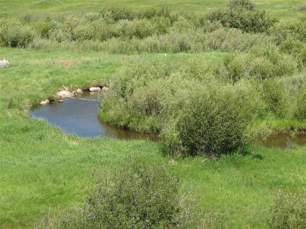 25060 Rainbow Ridge Oak Creek, CO 80467 - Photo 18 of 30 a view of a green field with lots of bushes