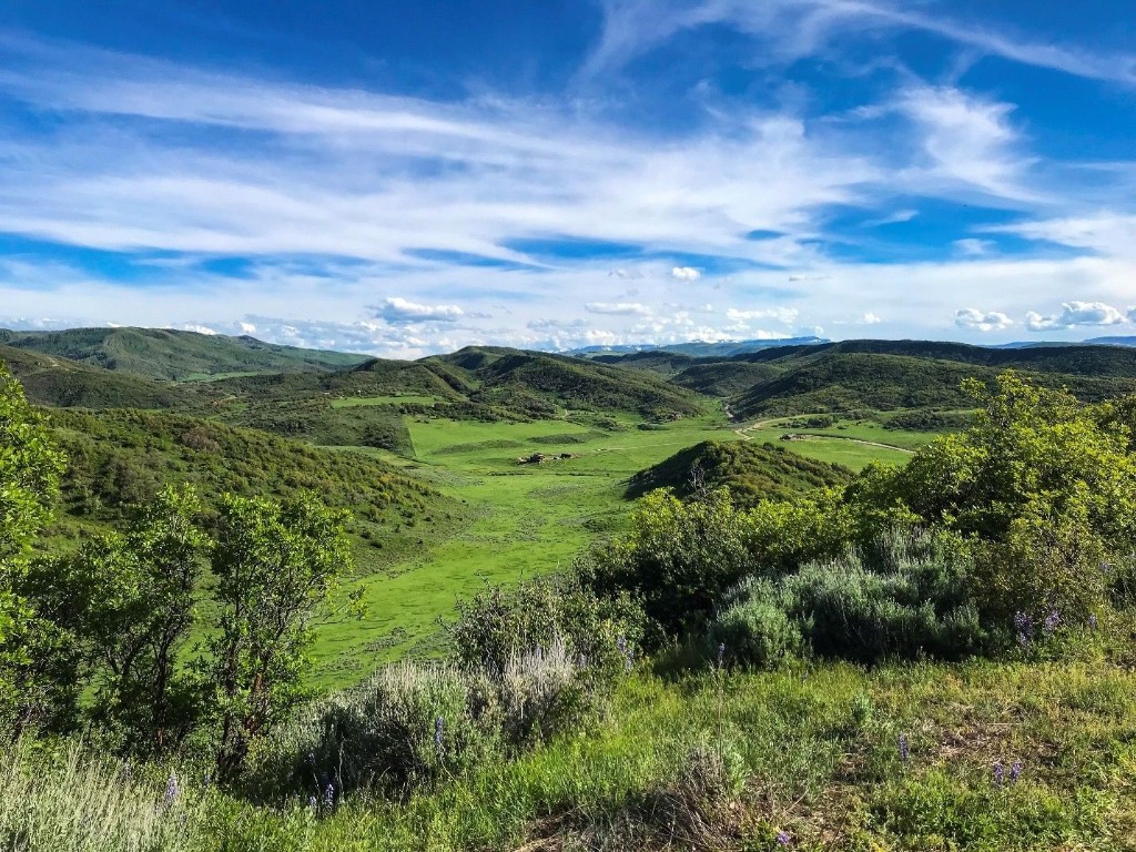 25060 Rainbow Ridge Oak Creek, CO 80467 - Photo 19 of 30 a view of a yard with an outdoor seating