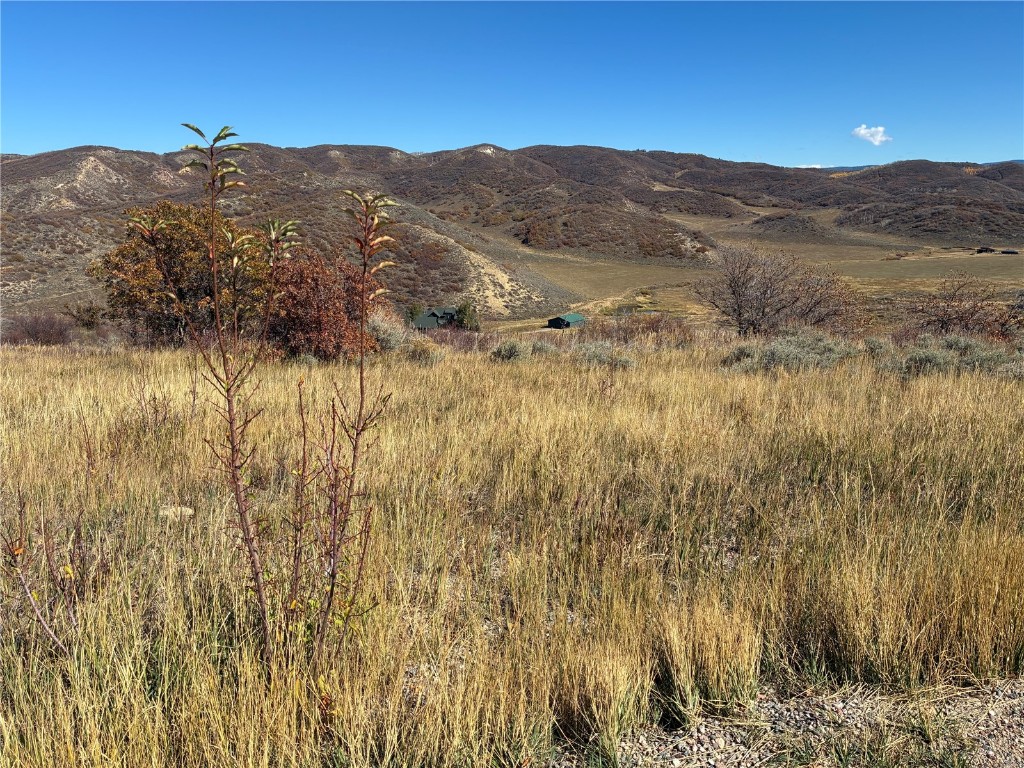 25060 Rainbow Ridge Oak Creek, CO 80467 - Photo 2 of 30 a view of mountain and tree