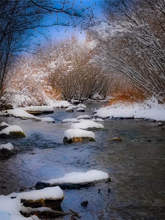 25060 Rainbow Ridge Oak Creek, CO 80467 - Photo 26 of 30 a view of a backyard of the house