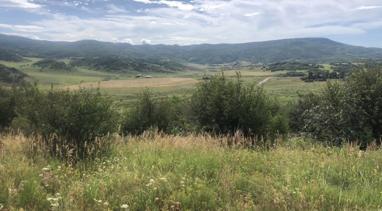 25060 Rainbow Ridge Oak Creek, CO 80467 - Photo 6 of 30 a view of lake with mountain