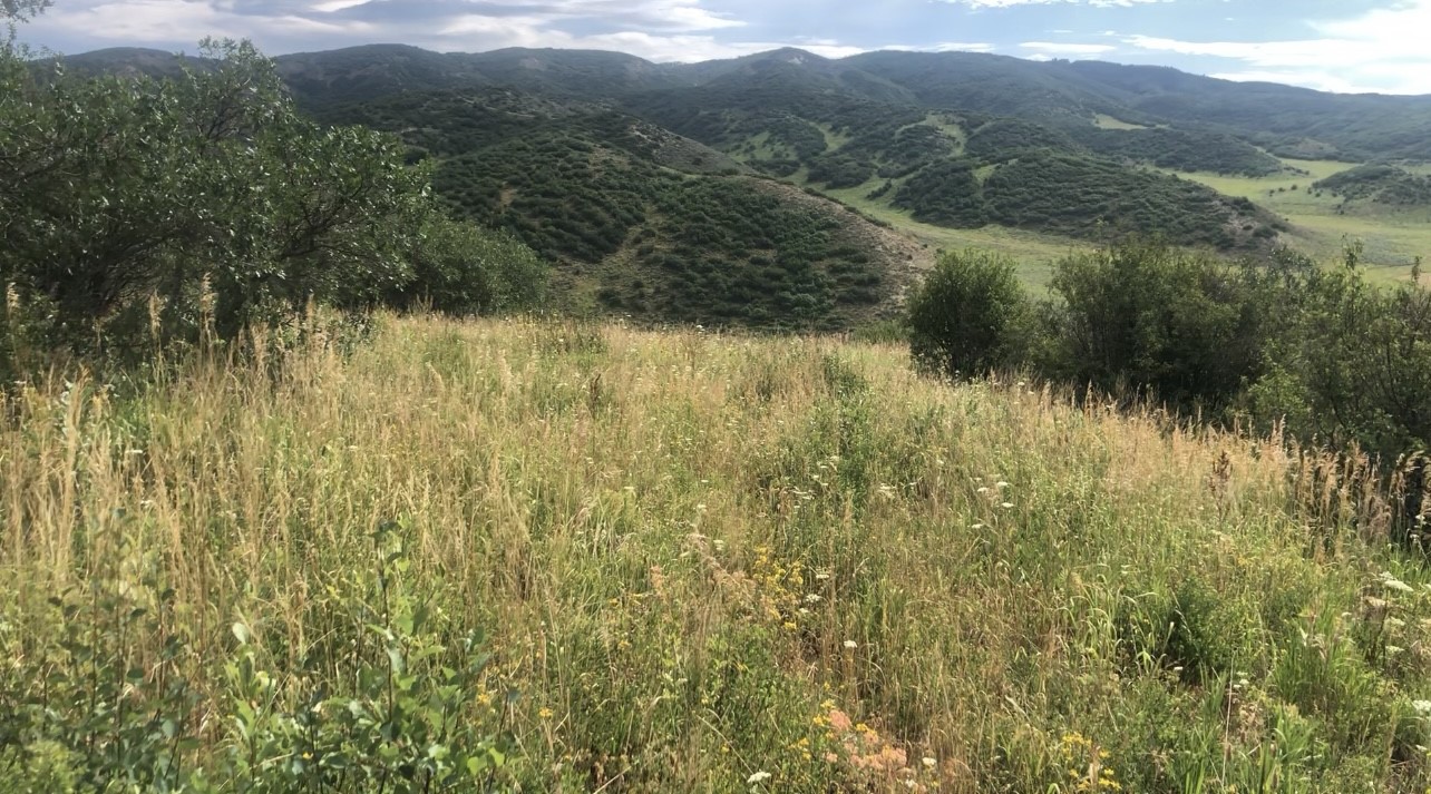 25060 Rainbow Ridge Oak Creek, CO 80467 - Photo 7 of 30 a view of lake view and mountain view