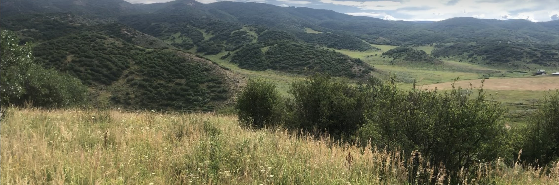 25060 Rainbow Ridge Oak Creek, CO 80467 - Photo 9 of 30 a view of a lake with a mountain in the background