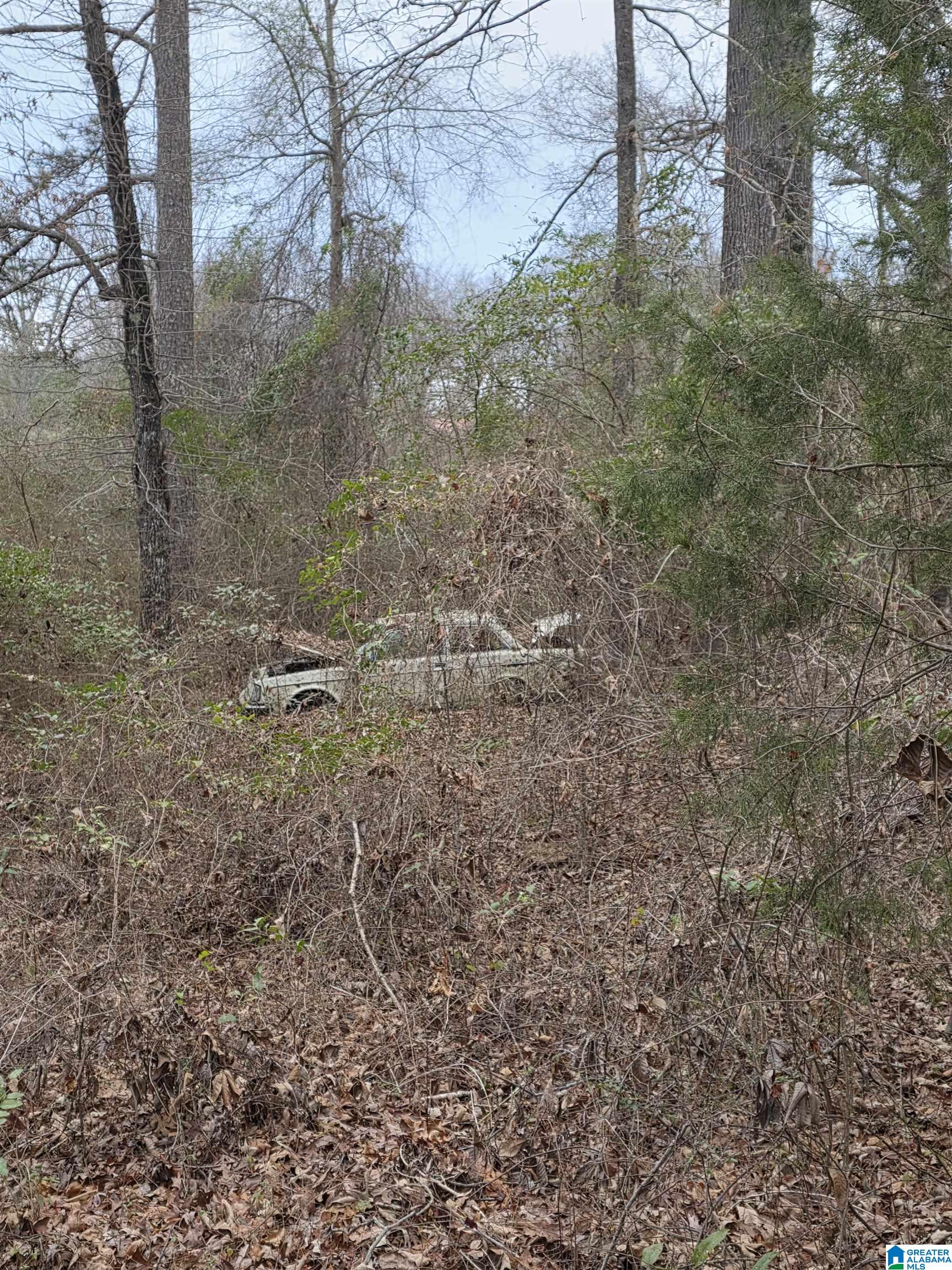 322 Tucker Road Talladega, AL 35160 - Photo 7 of 21