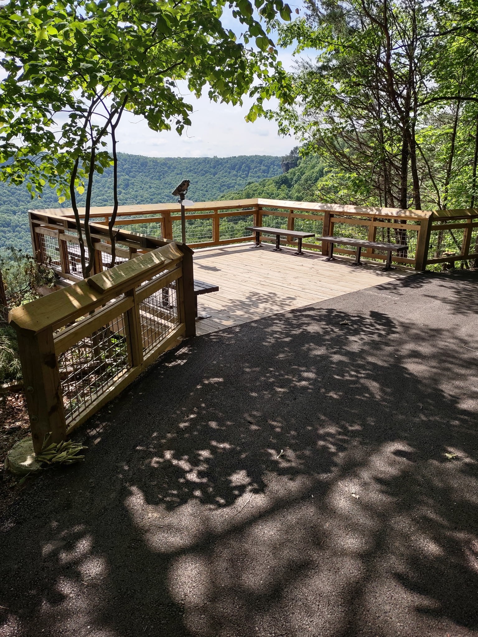 689 Stone Door Road Beersheba Springs, TN 37305 - Photo 8 of 15 Gallery Image 8
