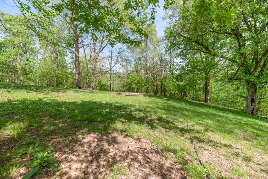 545 Bush Road Clinton, TN 37716 - Photo 42 of 46 Gallery Image 42