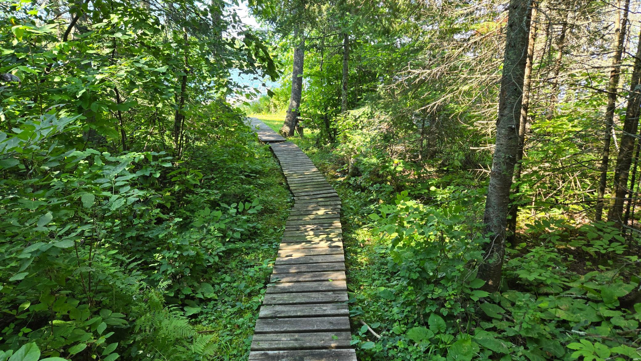 33 Donovan Point Orr, MN 55771 - Photo 35 of 50