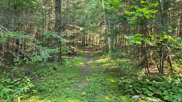 $450,000 | 33 Donovan Point, Orr, MN 55771