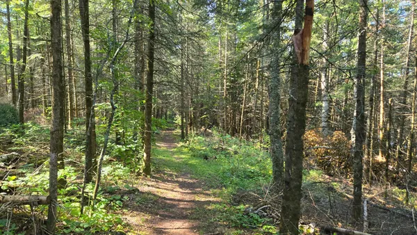 $450,000 | 33 Donovan Point, Orr, MN 55771