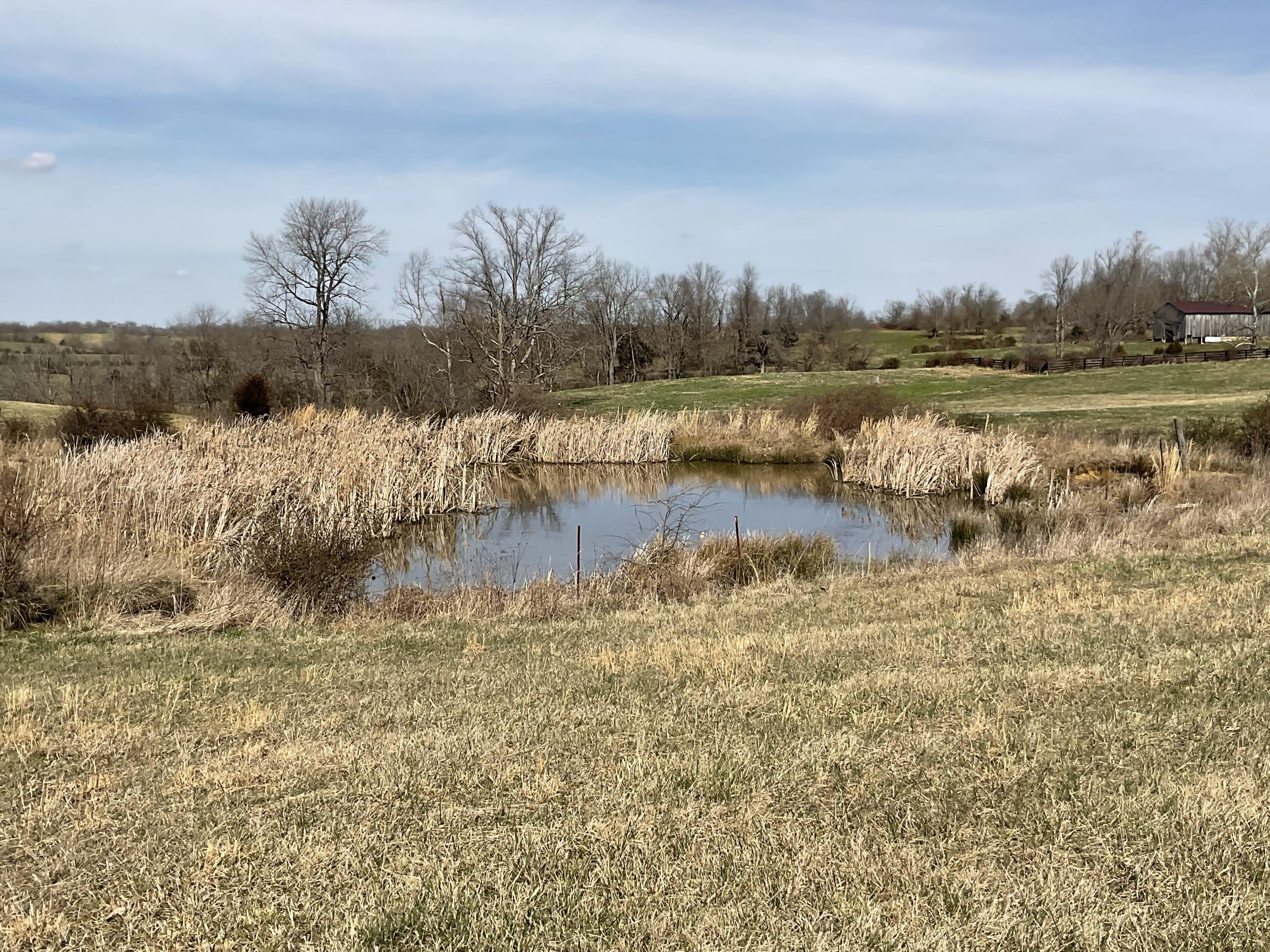 4031 McCormick Road Mount Sterling, KY 40353 - Photo 5 of 22 IMG_1123