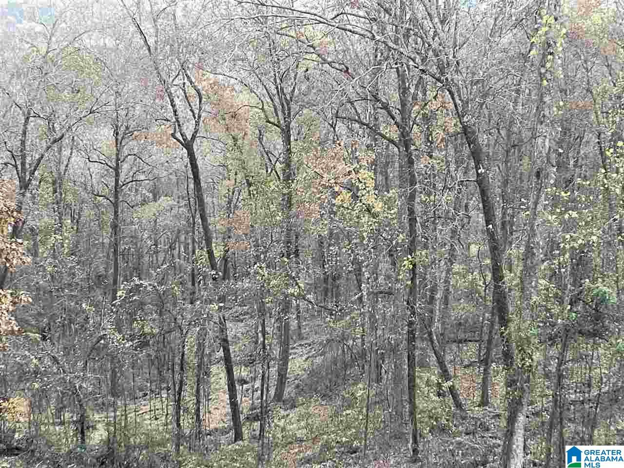 7931 Goodner Mountain Road Trussville, AL 35173 - Photo 16 of 20