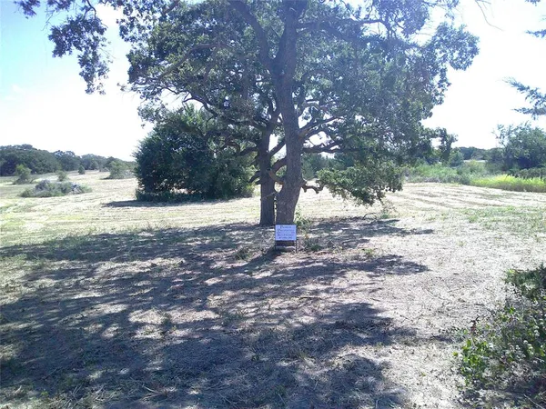 a view of dirt yard with a tree