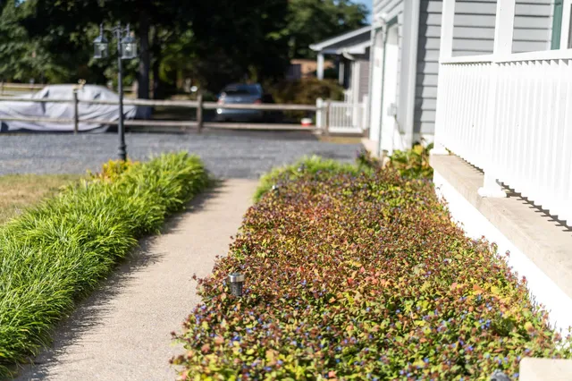 a view of a garden with pathway