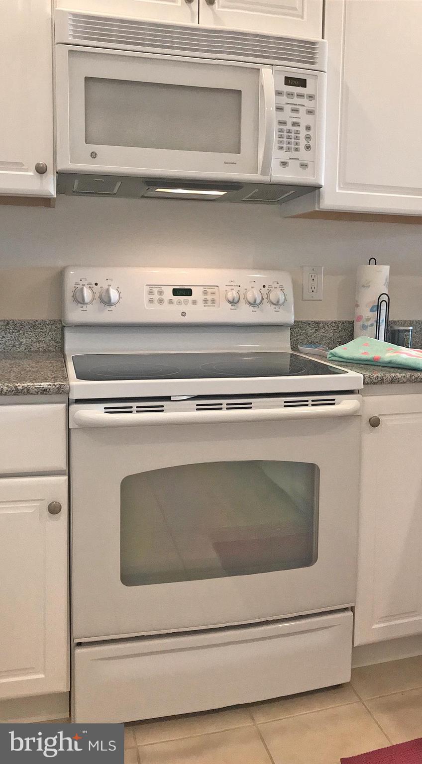 17476 Slipper Shell Way, Unit 10 Lewes, DE 19958 - Photo 11 of 29 Range & Built-In Microwave