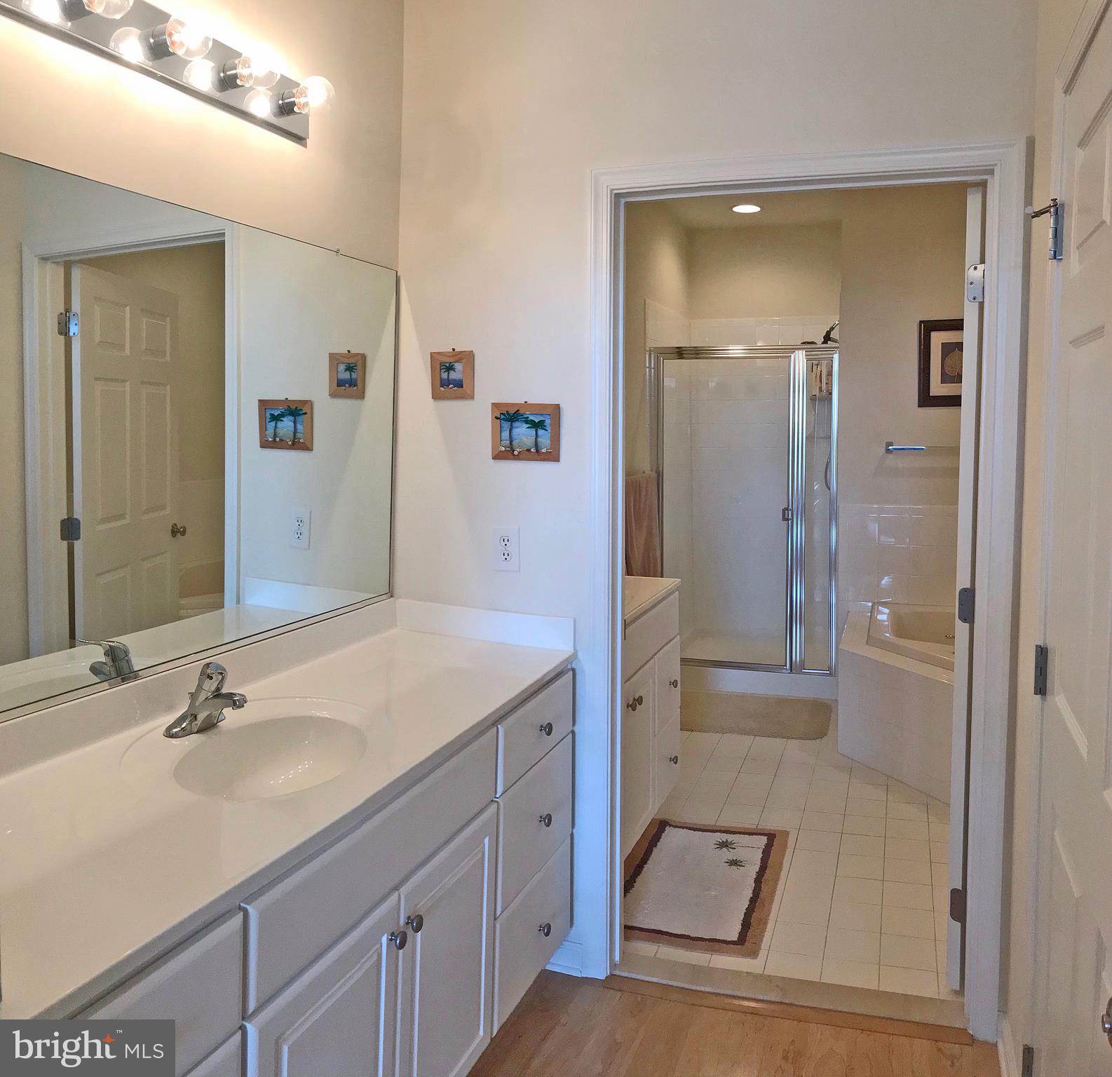 17476 Slipper Shell Way, Unit 10 Lewes, DE 19958 - Photo 17 of 29 Master Bath - Sink Vanity 1