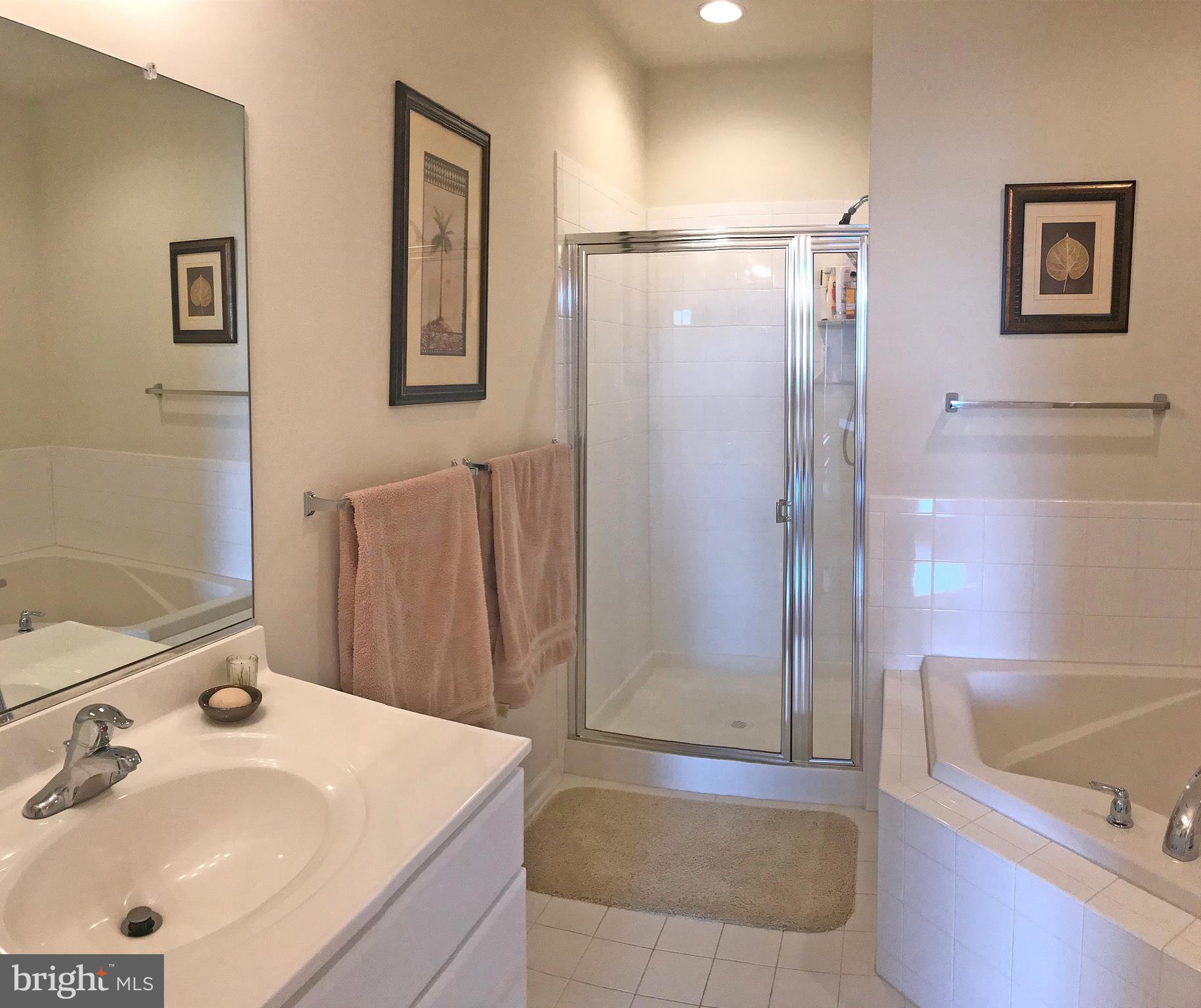 17476 Slipper Shell Way, Unit 10 Lewes, DE 19958 - Photo 18 of 29 Master Bath - Sink Vanity 2