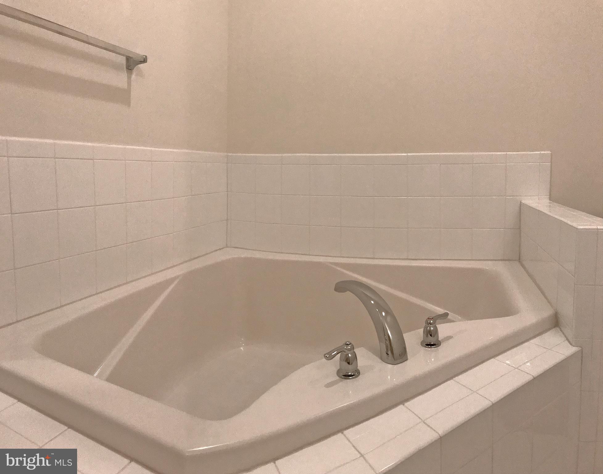 17476 Slipper Shell Way, Unit 10 Lewes, DE 19958 - Photo 19 of 29 Soaking Tub