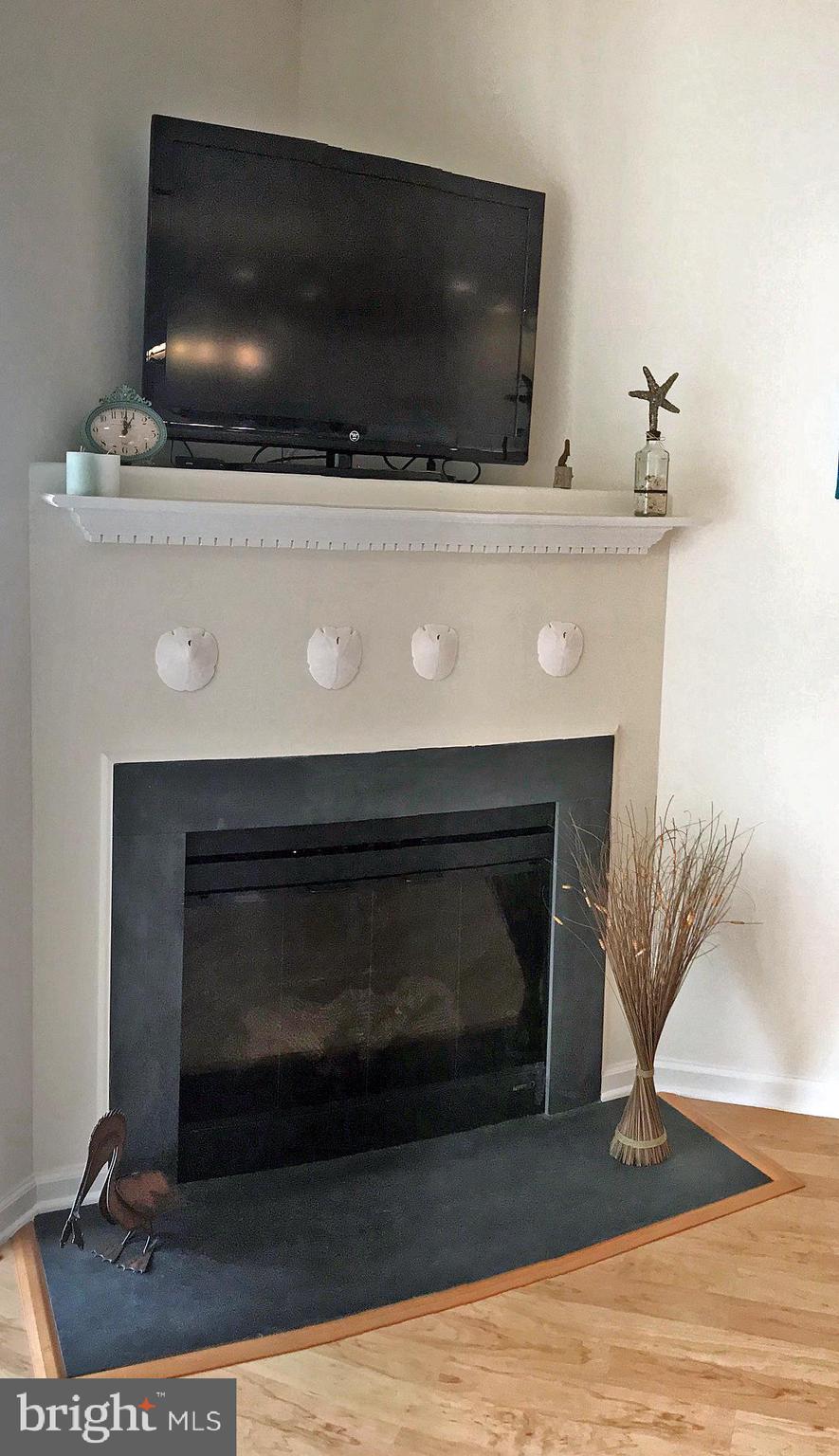 17476 Slipper Shell Way, Unit 10 Lewes, DE 19958 - Photo 4 of 29 Electric Fireplace