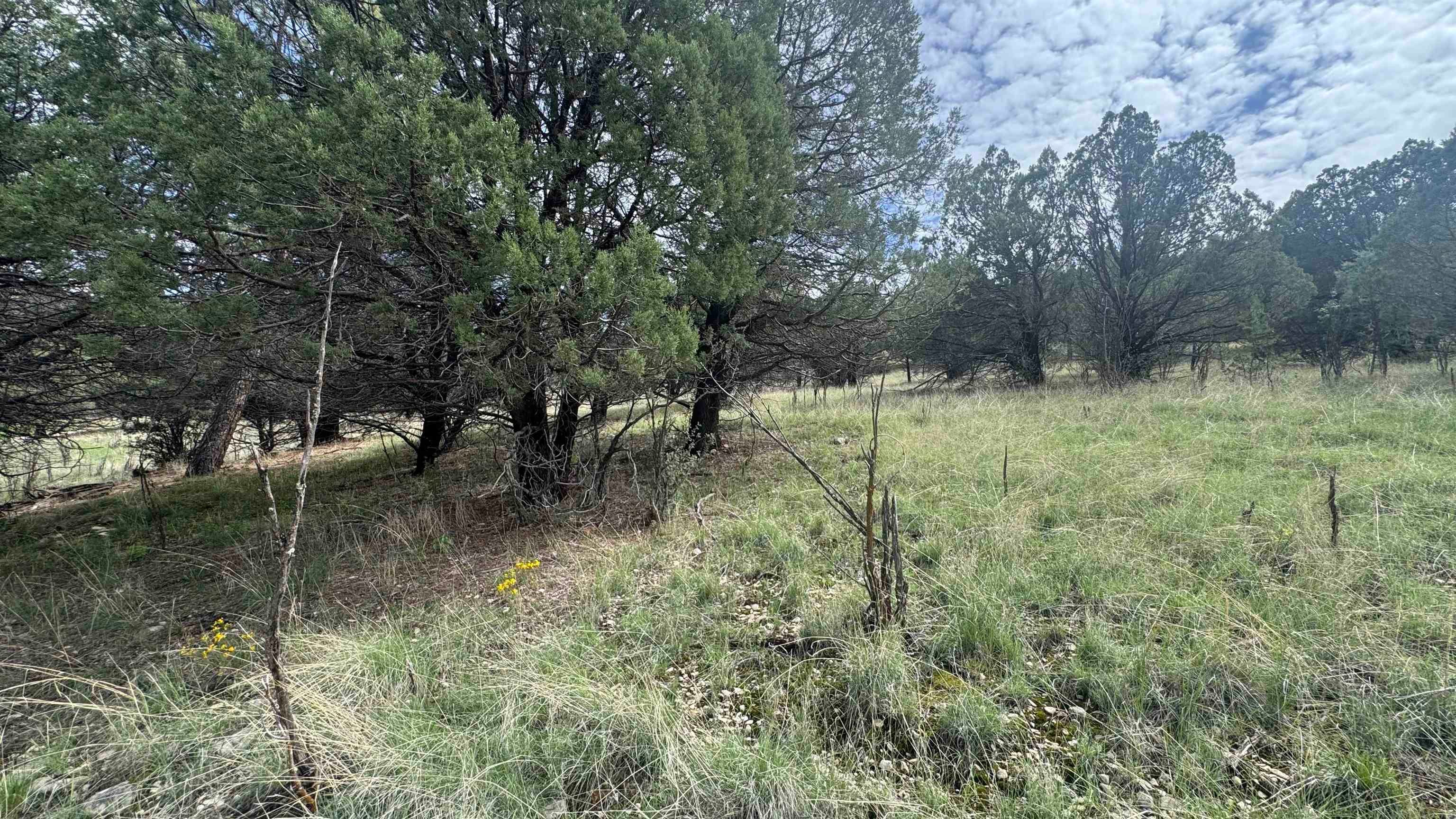 1826 B Rio Penasco Road Mayhill, NM 88339 - Photo 8 of 8 Gallery Image 8