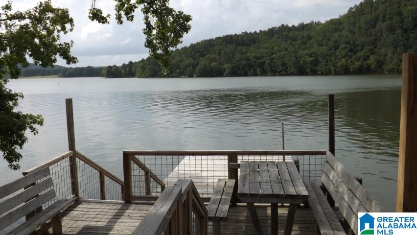 155 Lock 1 Road Ashville, AL 35953 - Photo 12 of 50