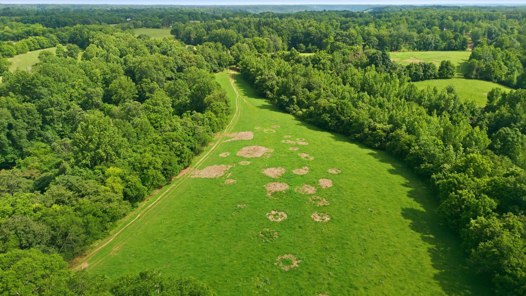925 Sumac Road Pulaski, TN 38478 - Photo 81 of 84