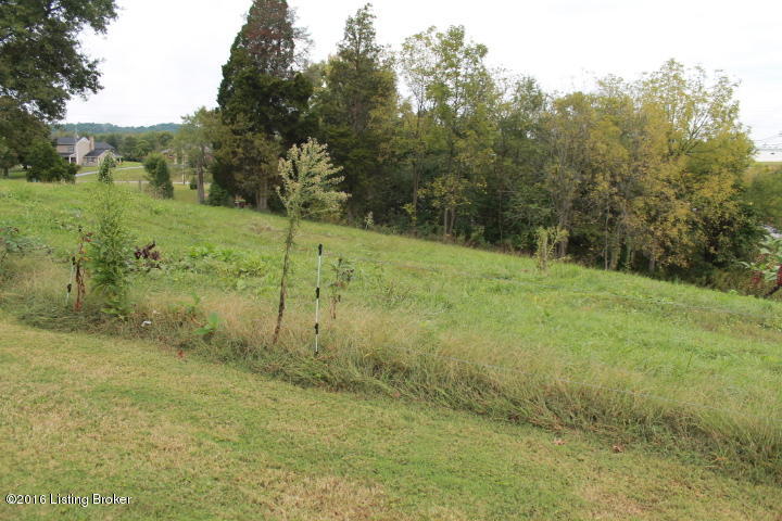 1835 Coral Ridge Road Shepherdsville, KY 40165 - Photo 13 of 15 IMG_6457
